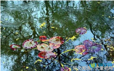 关于叶落秋的语句