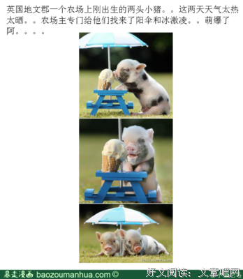 小猪的名言_关于小猪的名言