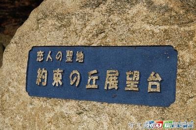 青果的句子