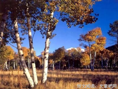 素材second优美的句子