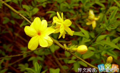 天了也些优美的优美的句子十时数中我难以忘怀
