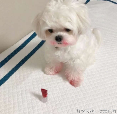 有关一个字的句子