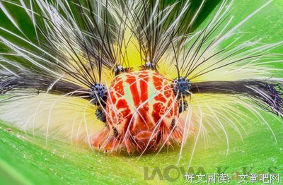 风可然并语