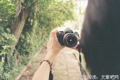 有关冷雨葬花的句子