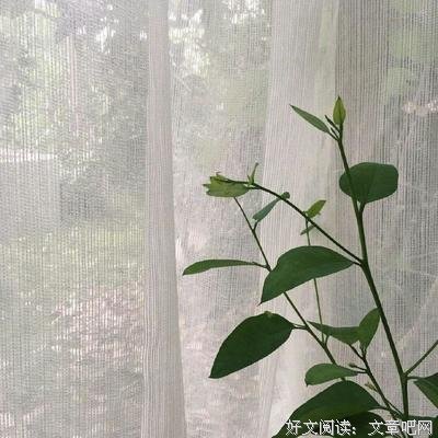 关于有如如以比成中生的句集的优美句子