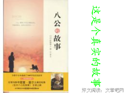 《一条狗的回家路》经典观后感集