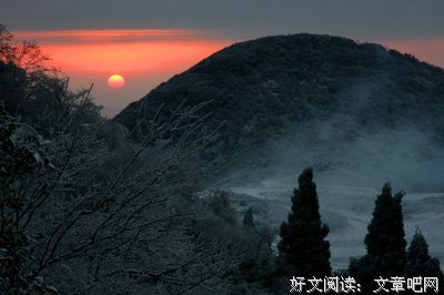 失踪的上清寺读后感精选10篇