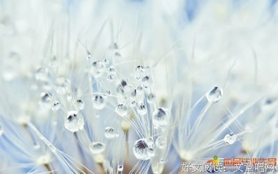 关于许我的名言