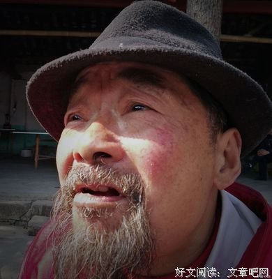 关于马鸣的名言