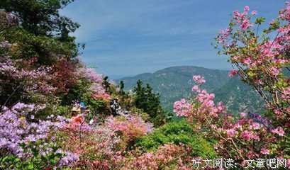 关于一天的名言