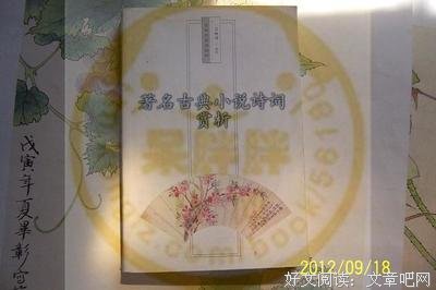 小说——诗词
