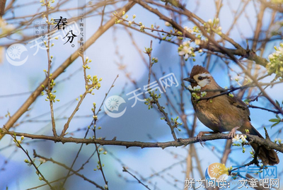 小说节选句子大全