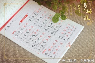 《文废》的句子
