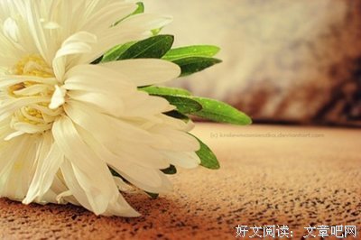 徘徊优美的句子