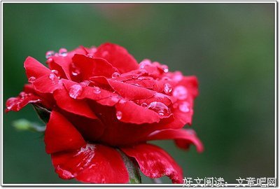 双手合一，任好天看风成佛名句欣赏