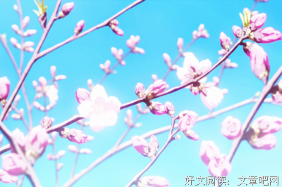 关于兮奈的唯美语录
