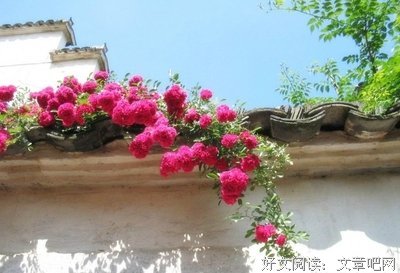 关于詩詞歌賦的句子