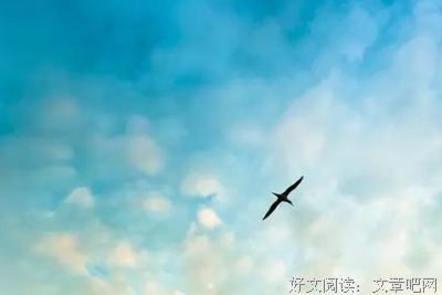 心灵鸡汤句子大全