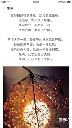 世上最好的感情