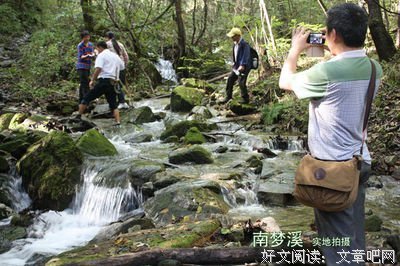有关我喜欢的句子
