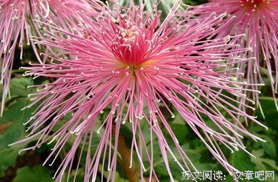 关于余盏半生的句子