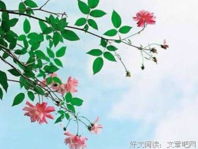 鲜衣琉璃经典的句子