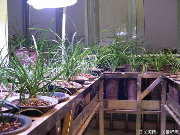 一年天下读后感精选10篇