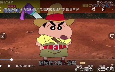 《蜡笔小新：新婚旅行飓风之遗失的野原广志》的观后感10篇