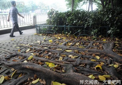 从古至今的语句摘抄_关于从古至今的语句