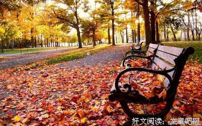 美丽的语句摘抄_关于美丽的语句