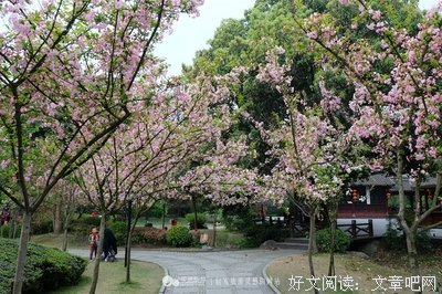 描写玉肌的经典句子