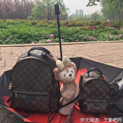 关于路易的语句