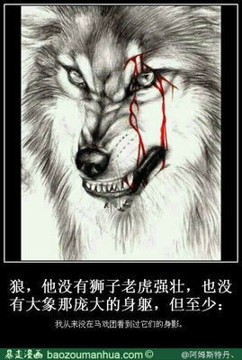 成强的名句_关于成强的名句