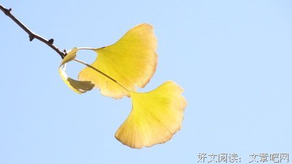 关于蹉跎岁月的座右铭