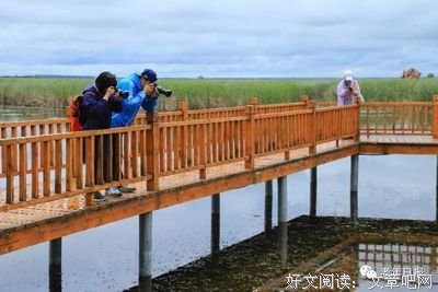 致老同学的一封信