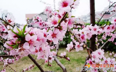 关于蔚蓝经典句子