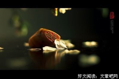 藤萍名言名句