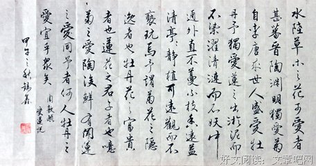 有关说象样来性的句子