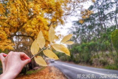 箴言的优美句子