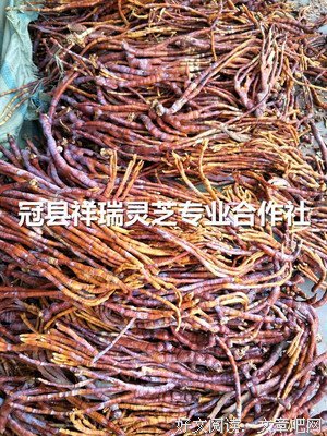 祥瑞格言警句