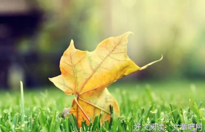 垂暮之年的名句_关于垂暮之年的名句