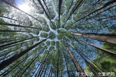 人生有三把钥匙：接受，转弯，放下