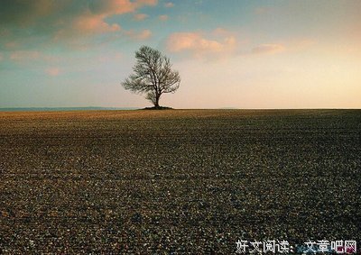 爱总的名句_关于爱总的名句