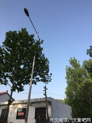 我打过心上的句子