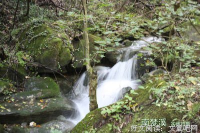有关我喜欢的句子