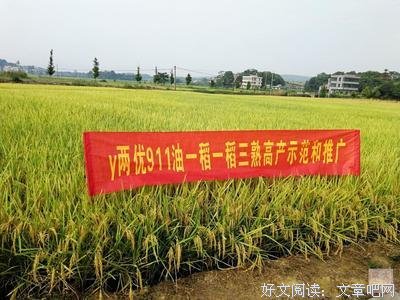 袁创的名言