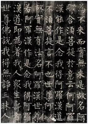 多罗三藐三的名言_关于多罗三藐三的名言