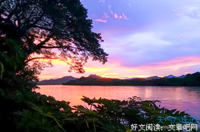 不能自己的语句摘抄_关于不能自己的语句