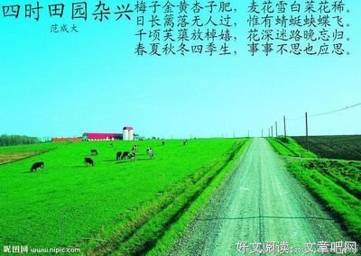 《杂》的句子