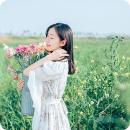《医仙》小说句子